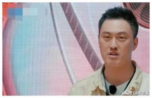 娱乐圈旧瓜怎么吃,如何品鉴那些年我们追过的热点事件