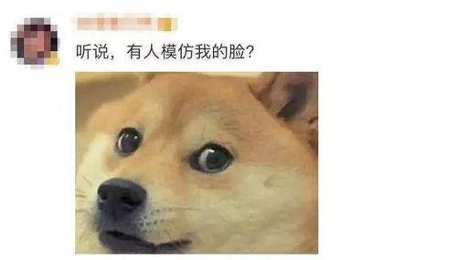 微信吃瓜表情包图片,趣味横生的网络文化现象